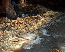 Brown fungus & white soil crystals developing on contaminated soil.