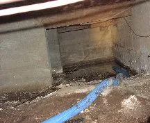 City sewage back up onto residential wood floor