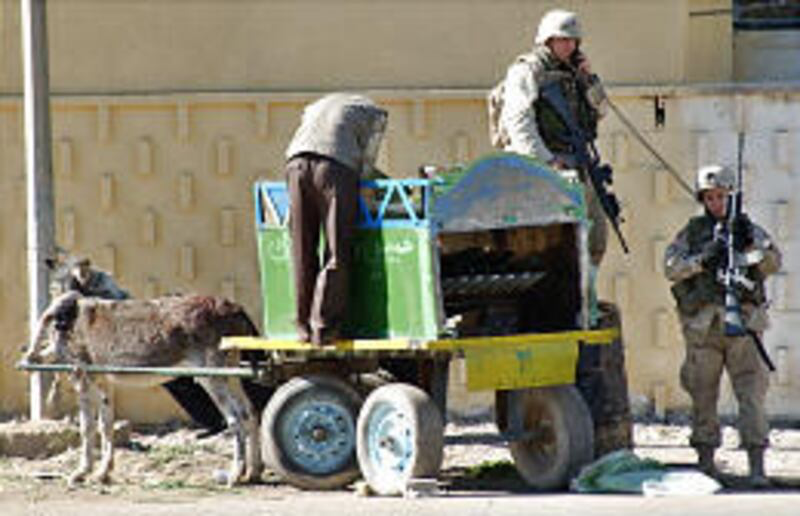 Donkey Kart! Ding Ding! Donkey Kart! Ding Ding!