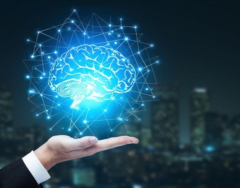 Experience Business Growth with Data-Driven Decisions