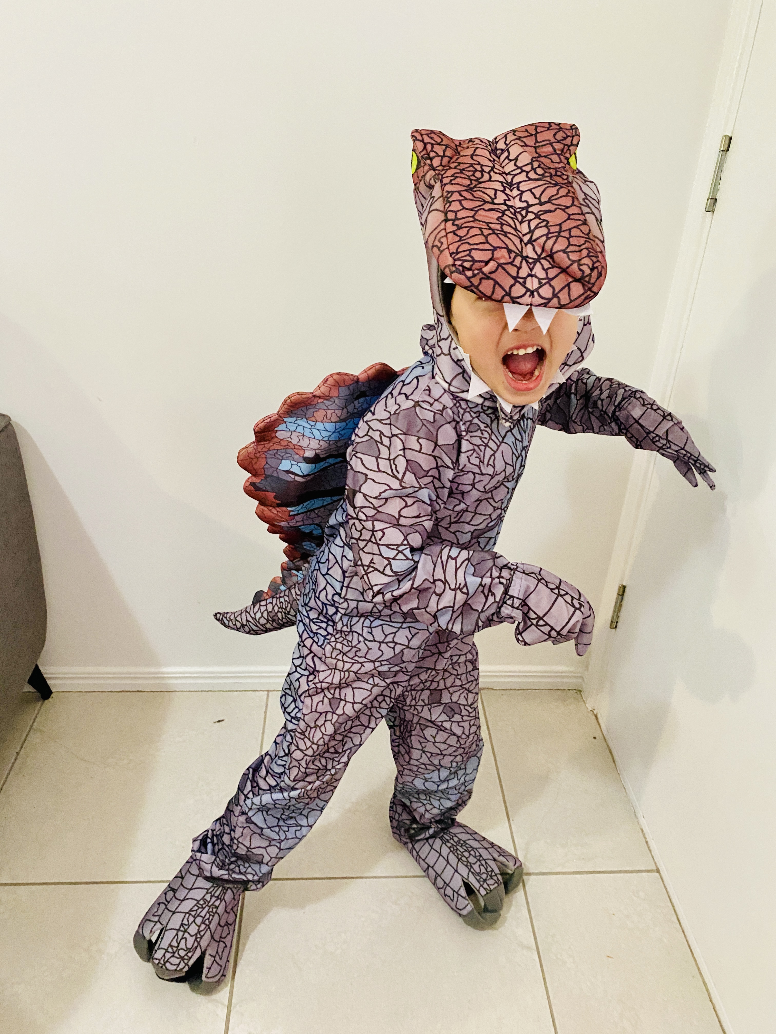 Boy in dinosaur costume