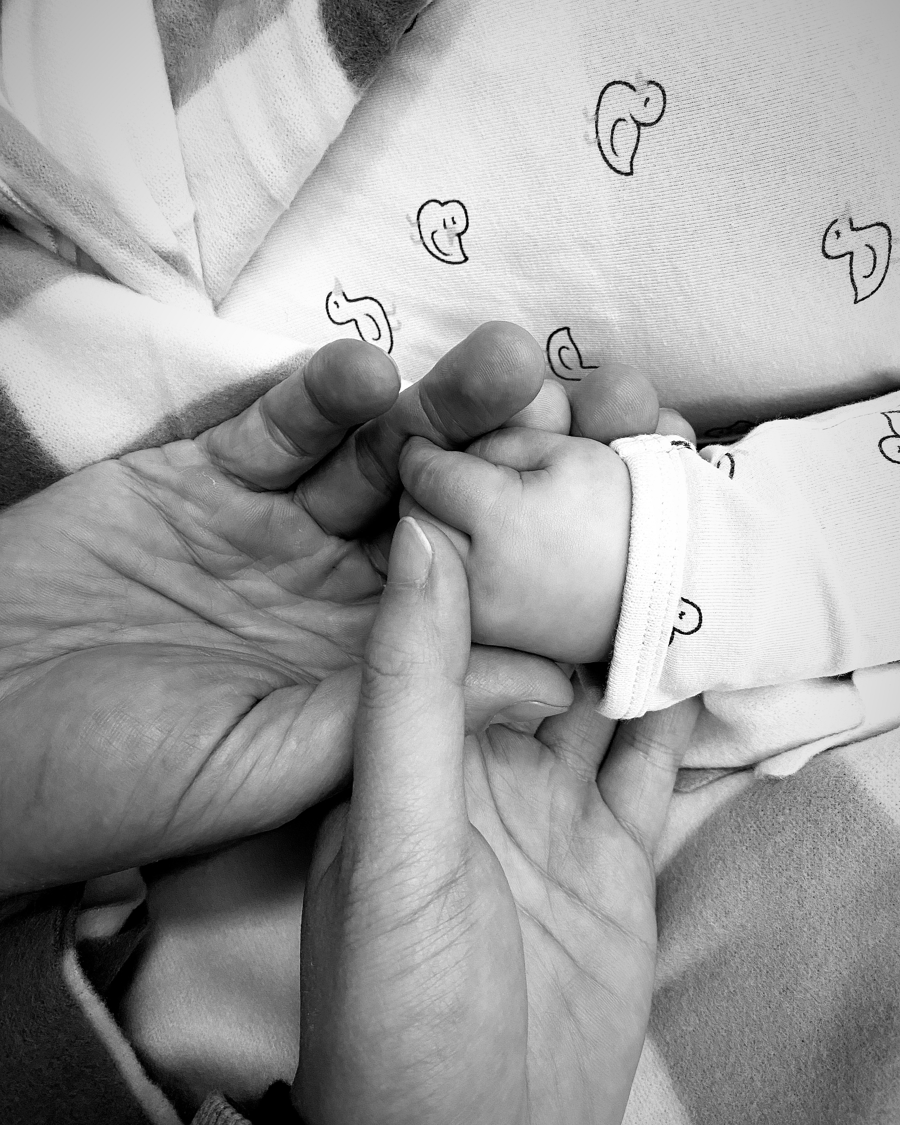 Parents holding baby's hand