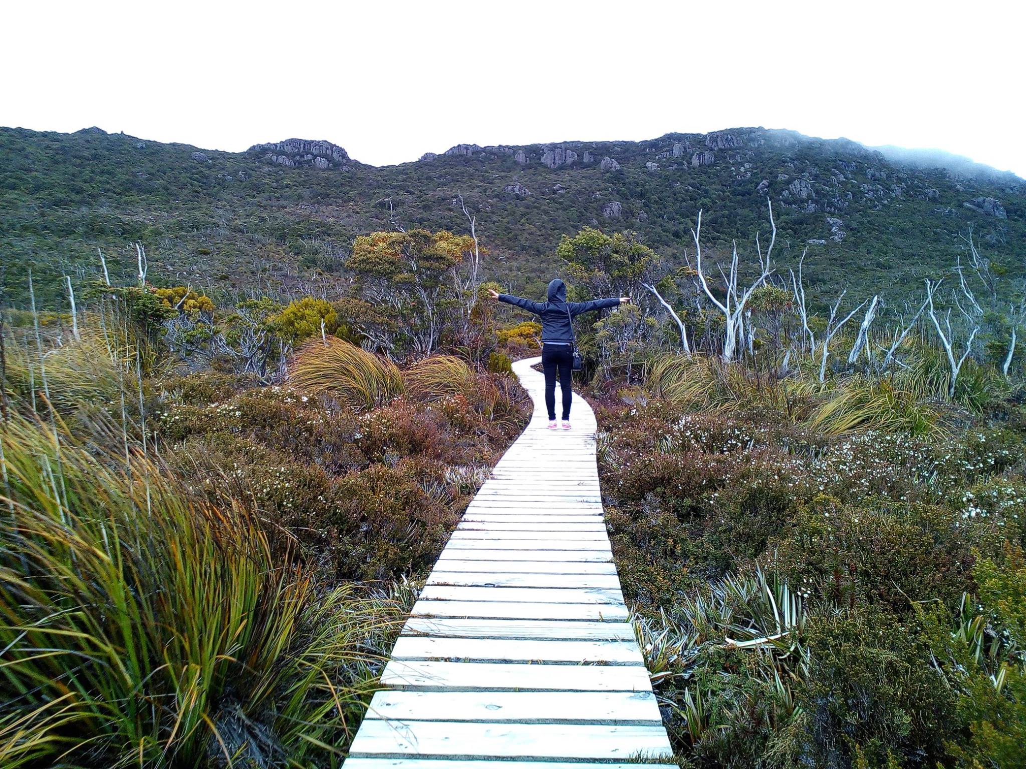 Person standing on a boardwalk facing mountains Person standing on a boardwalk facing mountains