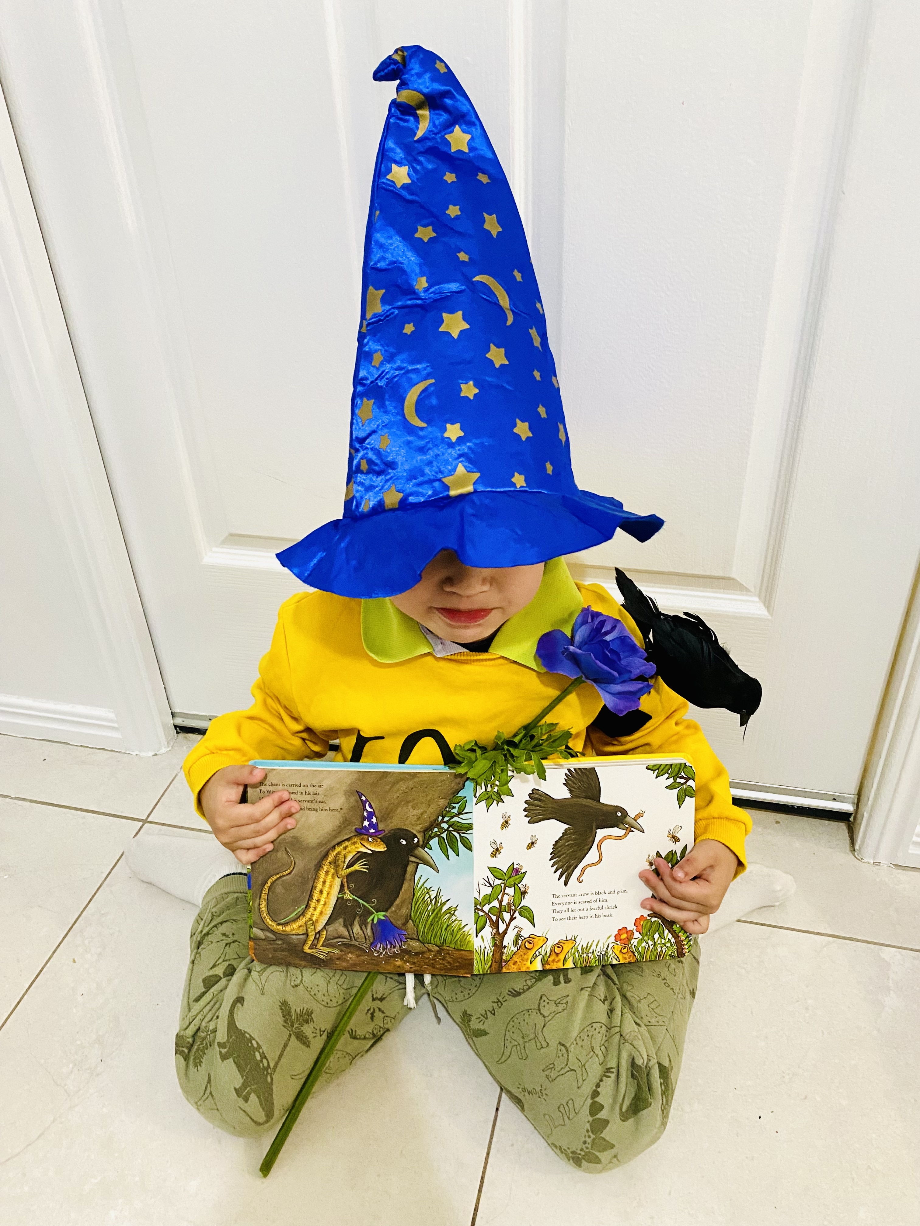 DIY Wizard Lizard costume DIY Wizard Lizard costume