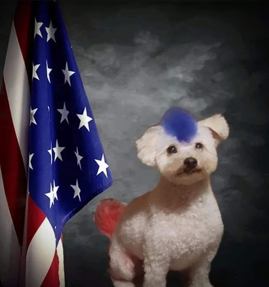 Road Dawg Mobile Grooming