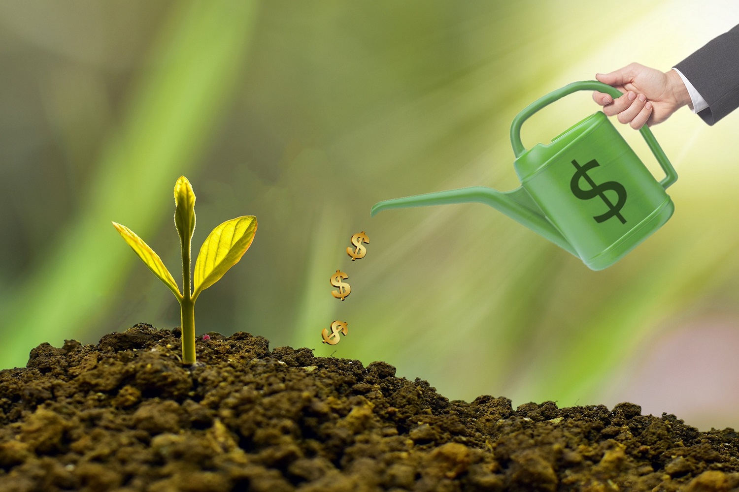 Customer Lifetime Value (CLV)