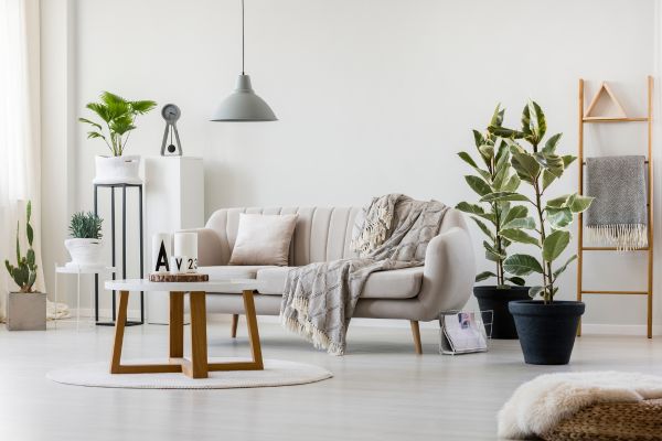 Modern minimalist living room with beige sofa, coffee table, and indoor plants. Modern minimalist living room with beige sofa, coffee table, and indoor plants.