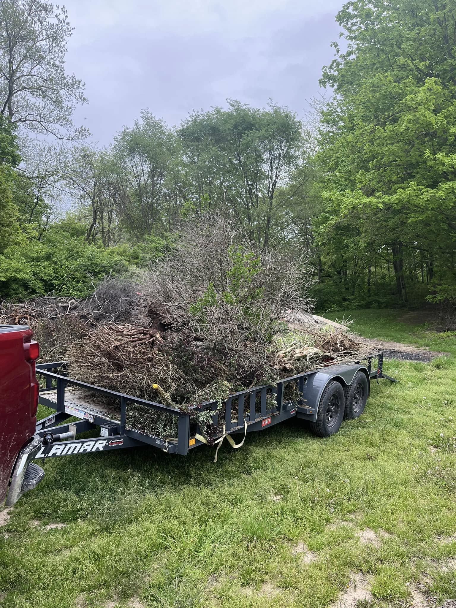 Bush Removal