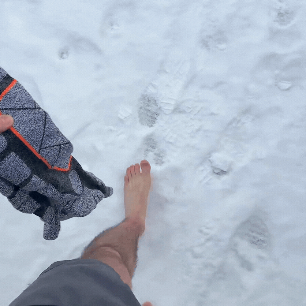 Protein Coffee Creamer