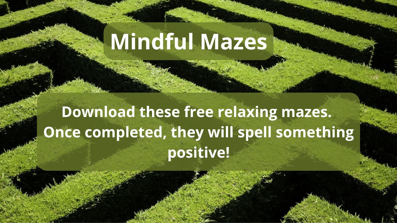 A maze made from green bushes.