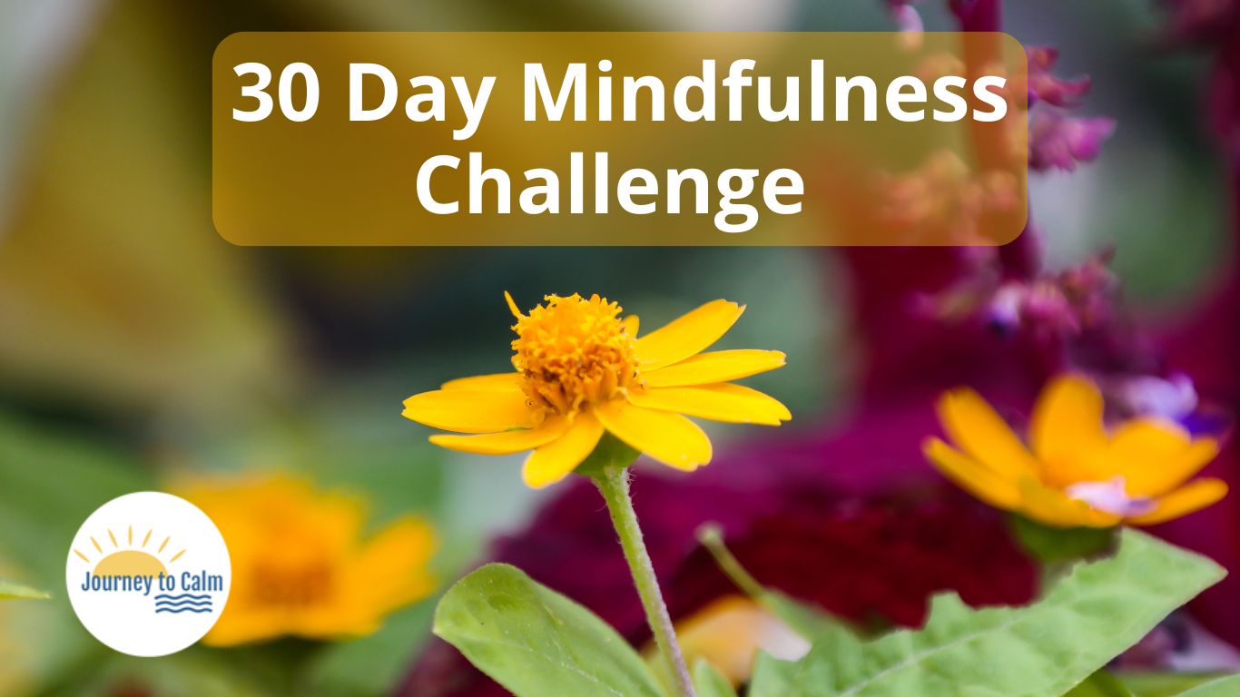 30 day mindfulness challenge - free