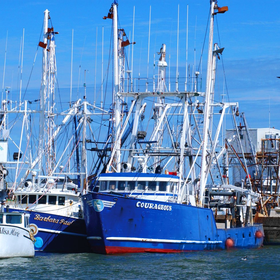 Virginia Commercial Fisheries Image
