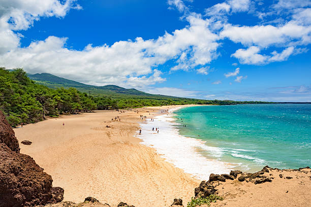 a beach on molokai