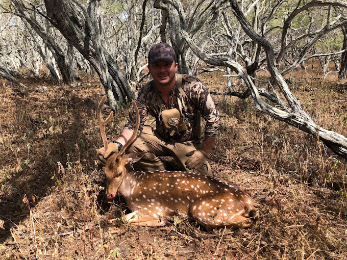 hunting on molokai hunting on molokai