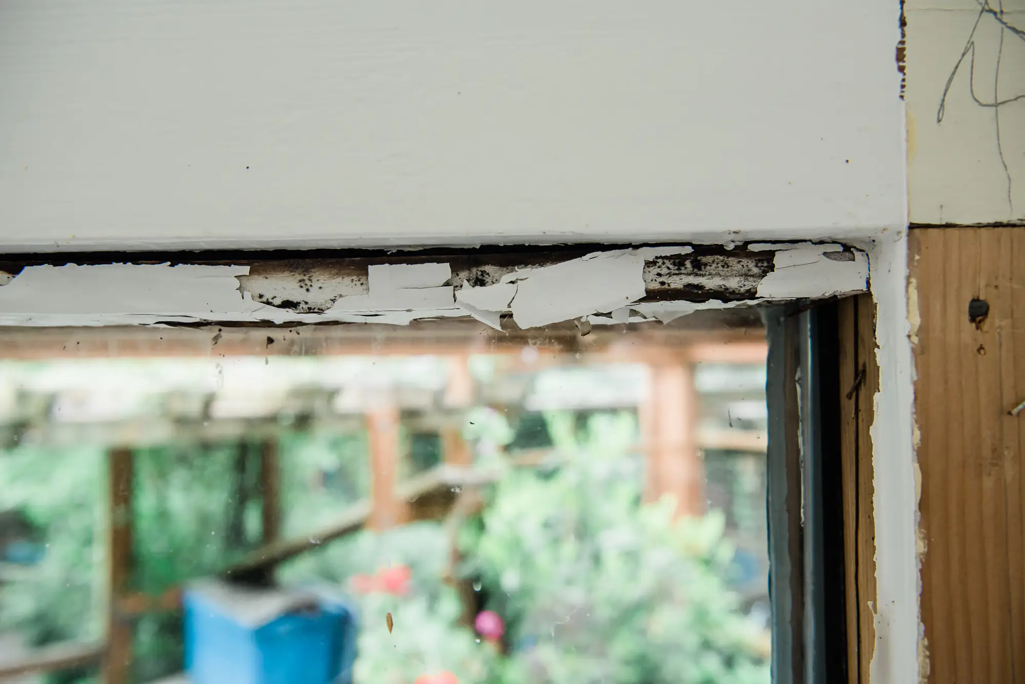 Heritage-Handyman-Dry-Rot-Repair Heritage-Handyman-Dry-Rot-Repair