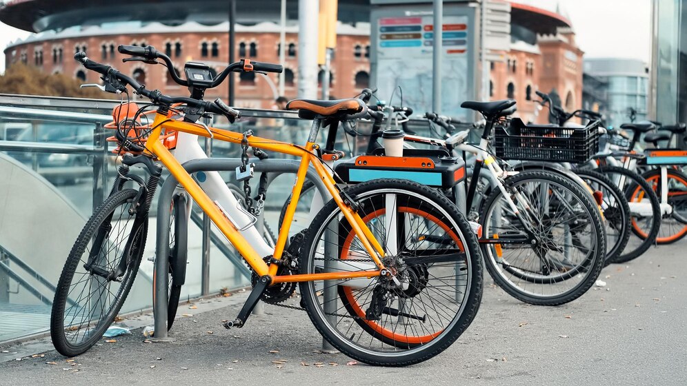 Bicycle Rental Near Me Bicycle Rental Near Me