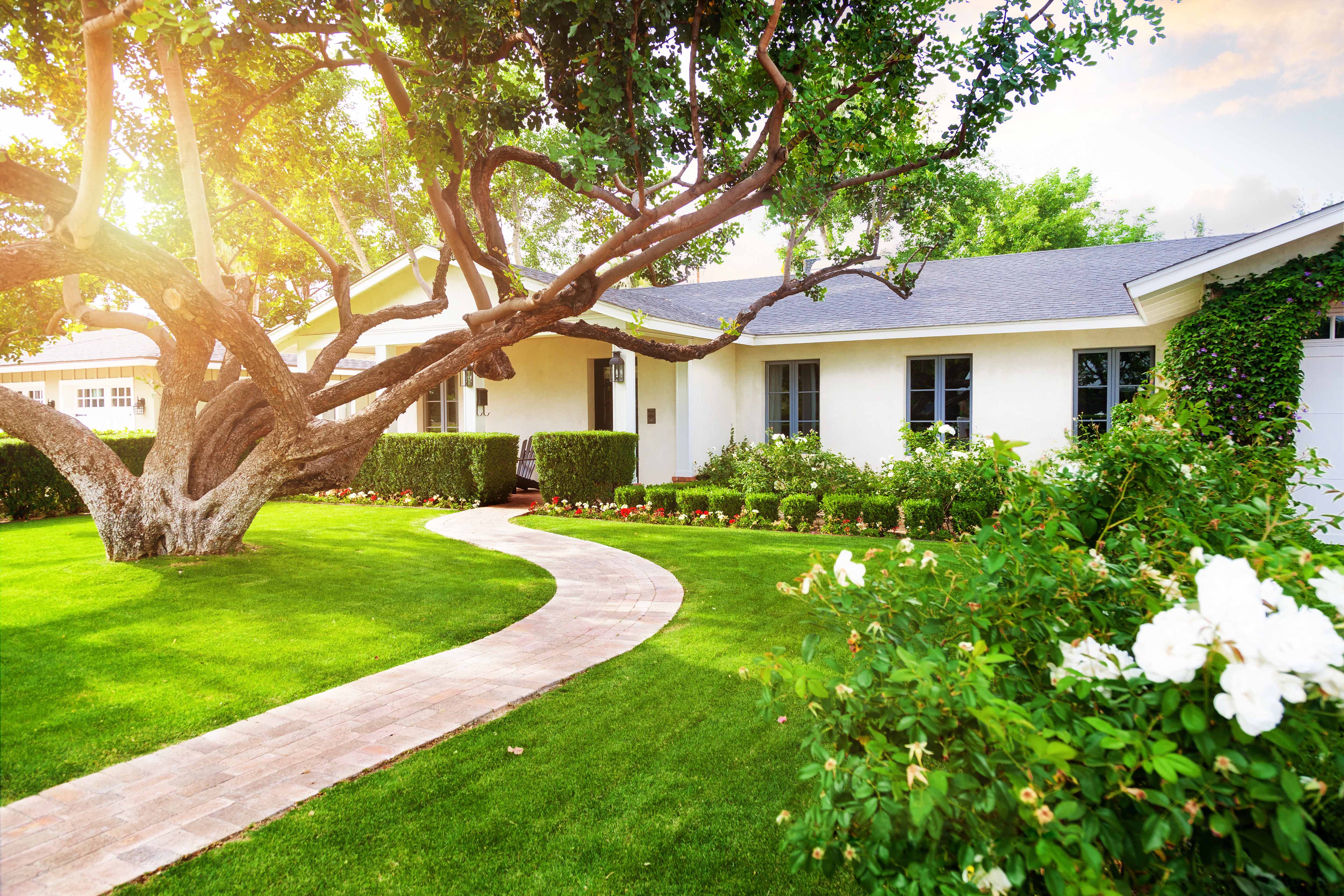 Construction Tips for Regulatory Resilience
