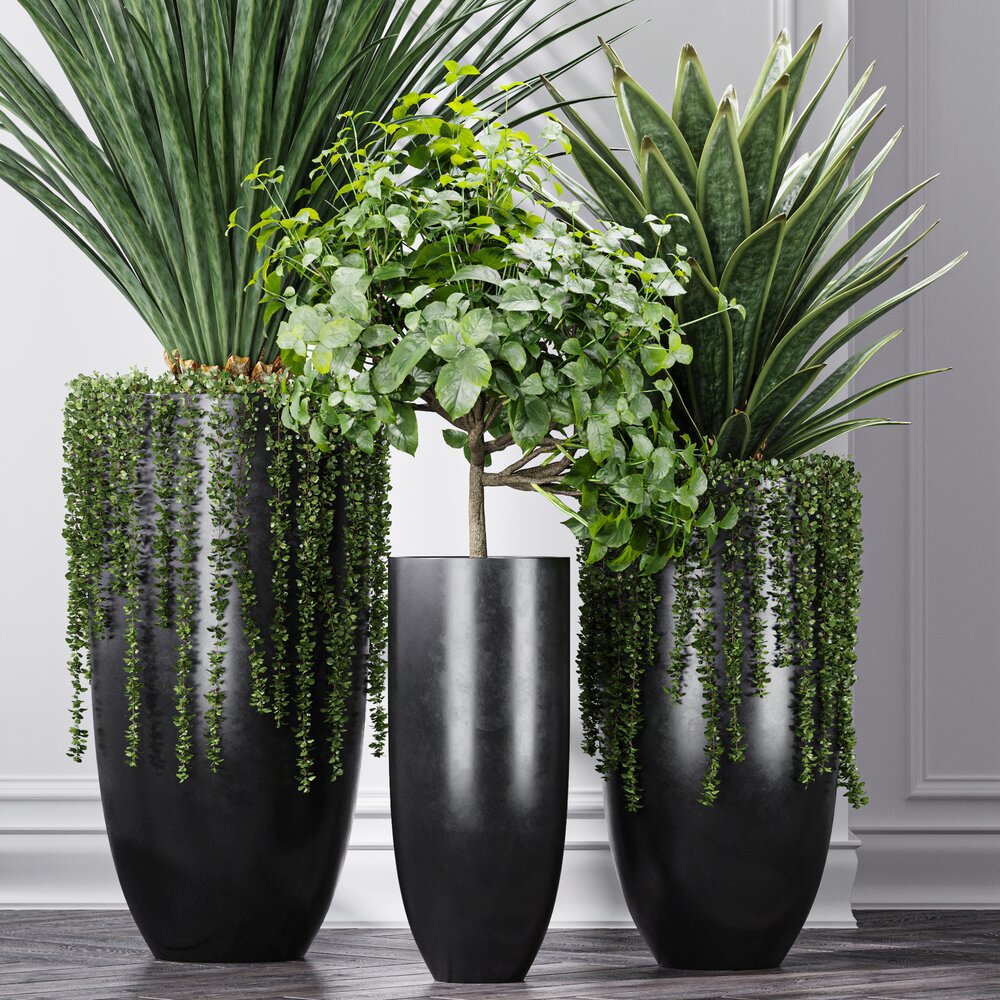 Reception area transformed with indoor plant rental setup