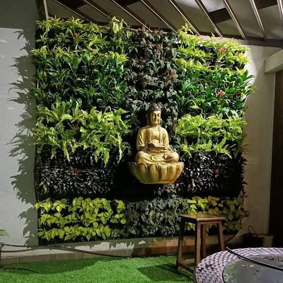 Indoor green wall with automatic irrigation system installed