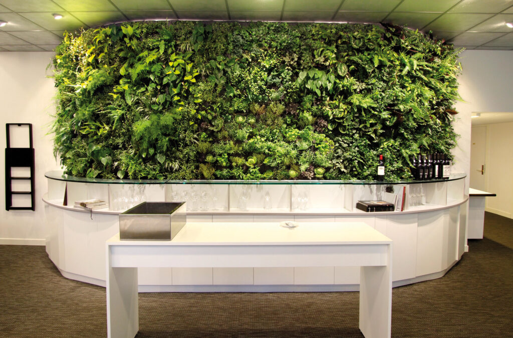 Lush green living wall with a variety of tropical plants in office interior