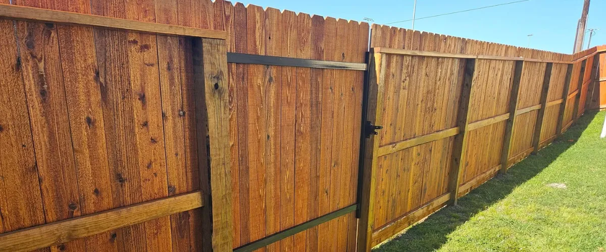 Tall stained wood privacy fence enclosing a large yard with trees in College Station. Tall stained wood privacy fence enclosing a large yard with trees in College Station.