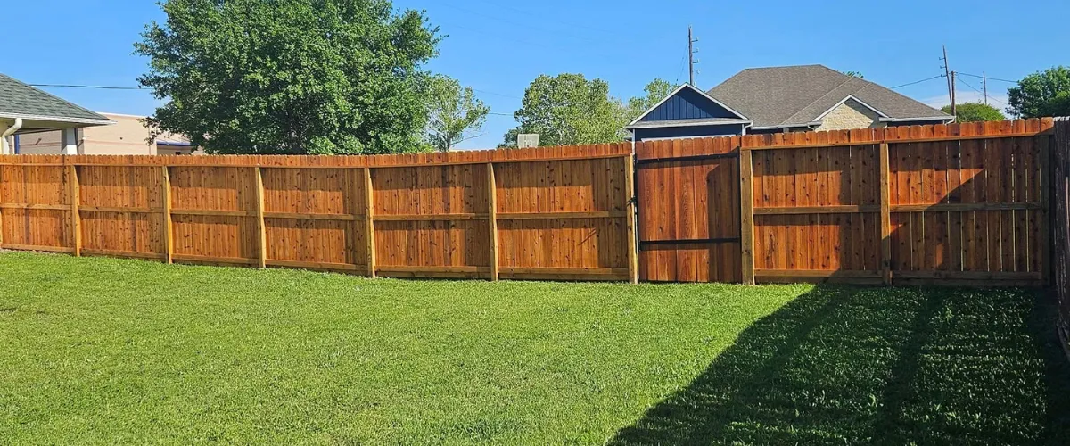 Freshly stained wooden backyard fence with bright green lawn on a sunny day Freshly stained wooden backyard fence with bright green lawn on a sunny day