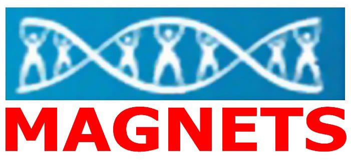 Magnets