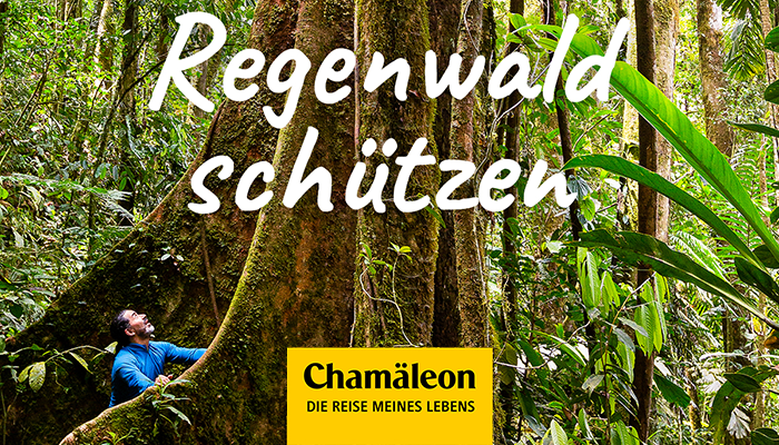 Nachhaltigkeit bei Chamäleon