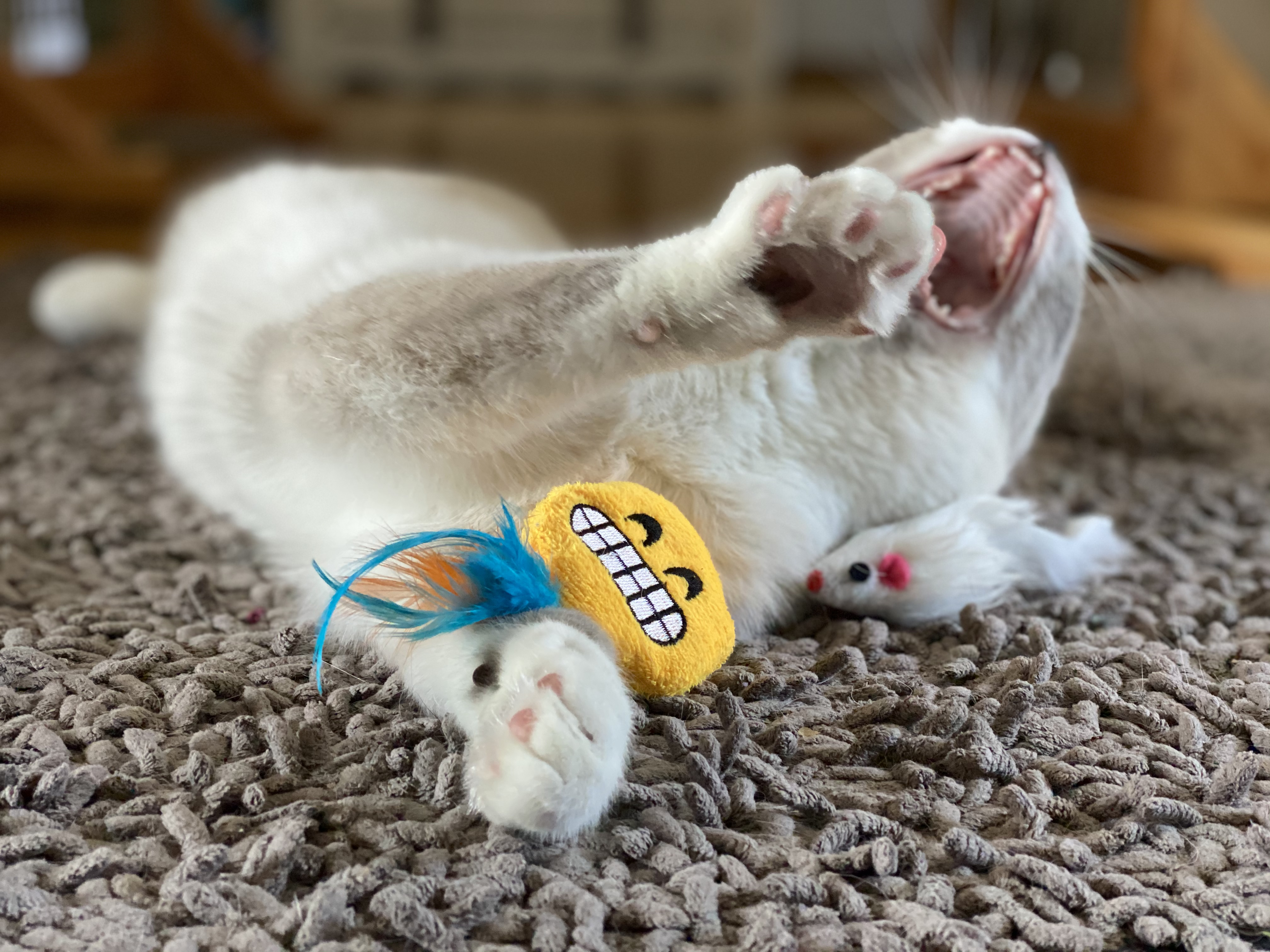 Quentin mit Spielzeug