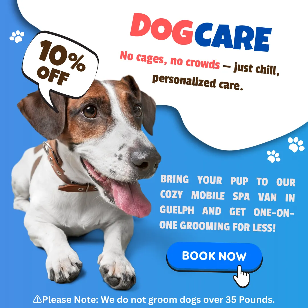 Book Grooming Now
