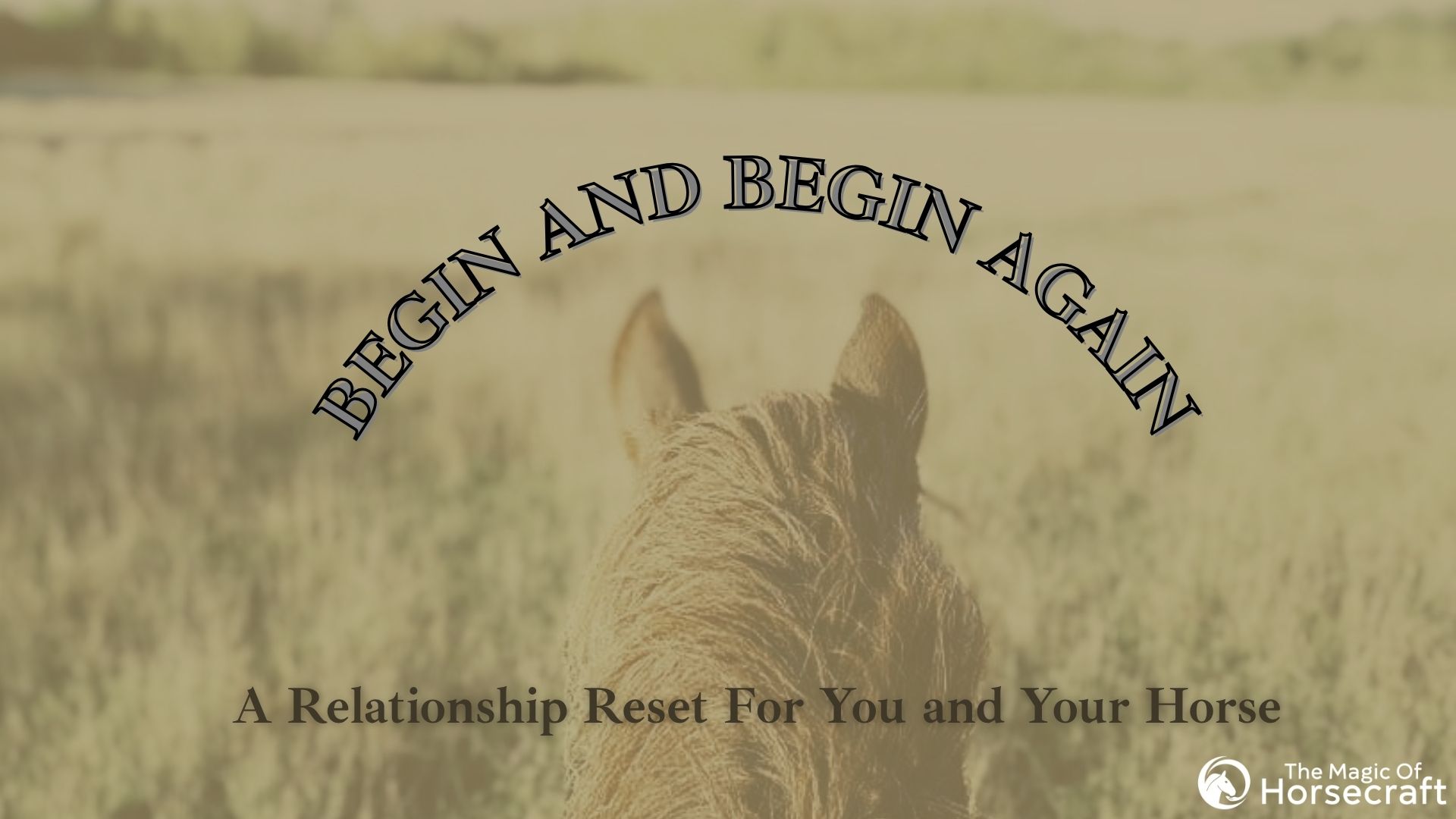 Begin Again - A Relationship Reset For You and Your Horse