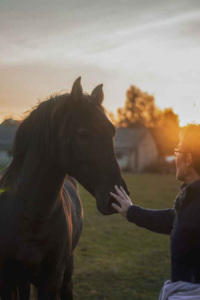 woman touching horse on nose at sunset