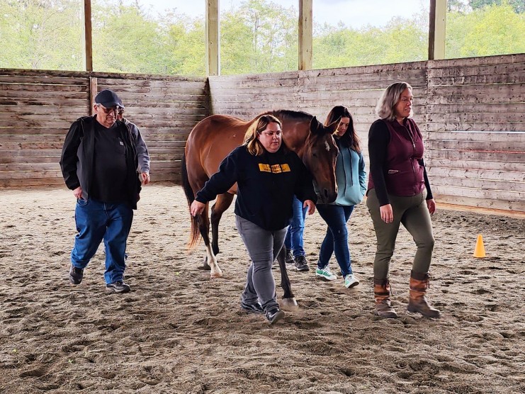 group walking with horse in arena