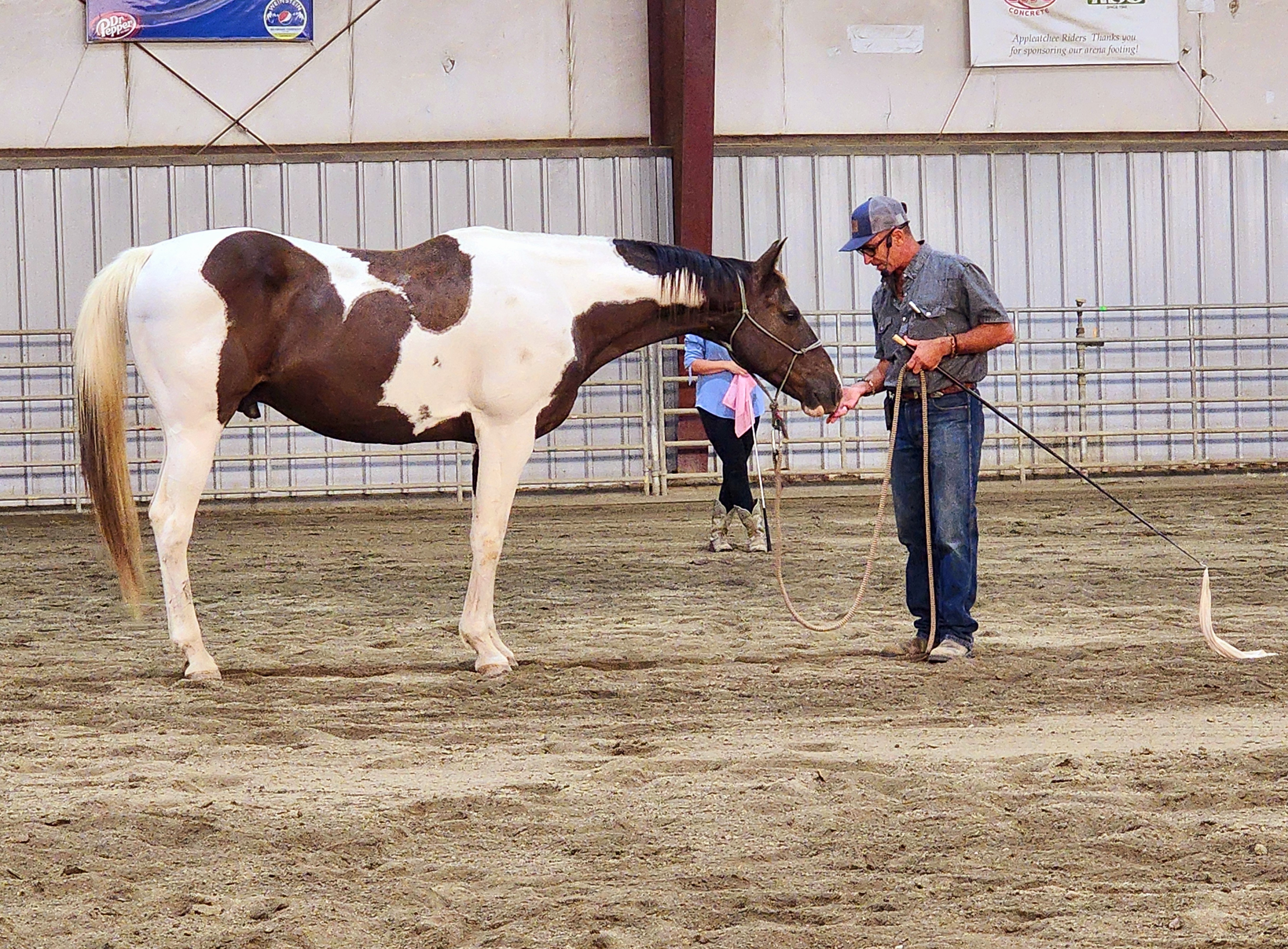 warwick schiller and horse at clinic