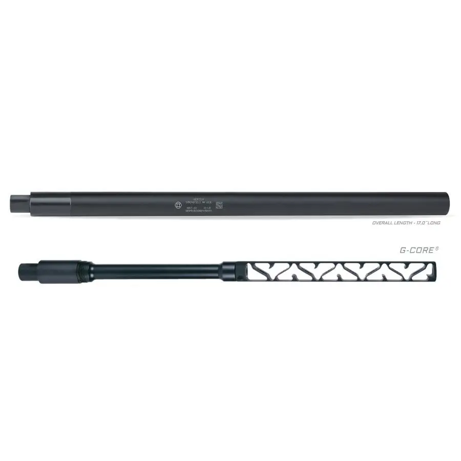 Gemtech Mist 22 Suppressor Review
