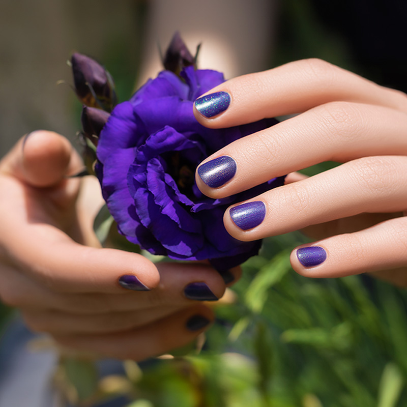 Iris Nail Bar Interior