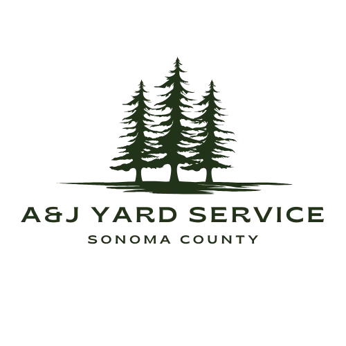 10 Lawn Care Tips for Sonoma County Homeowners: How to Keep Your Yard Green Year-Round