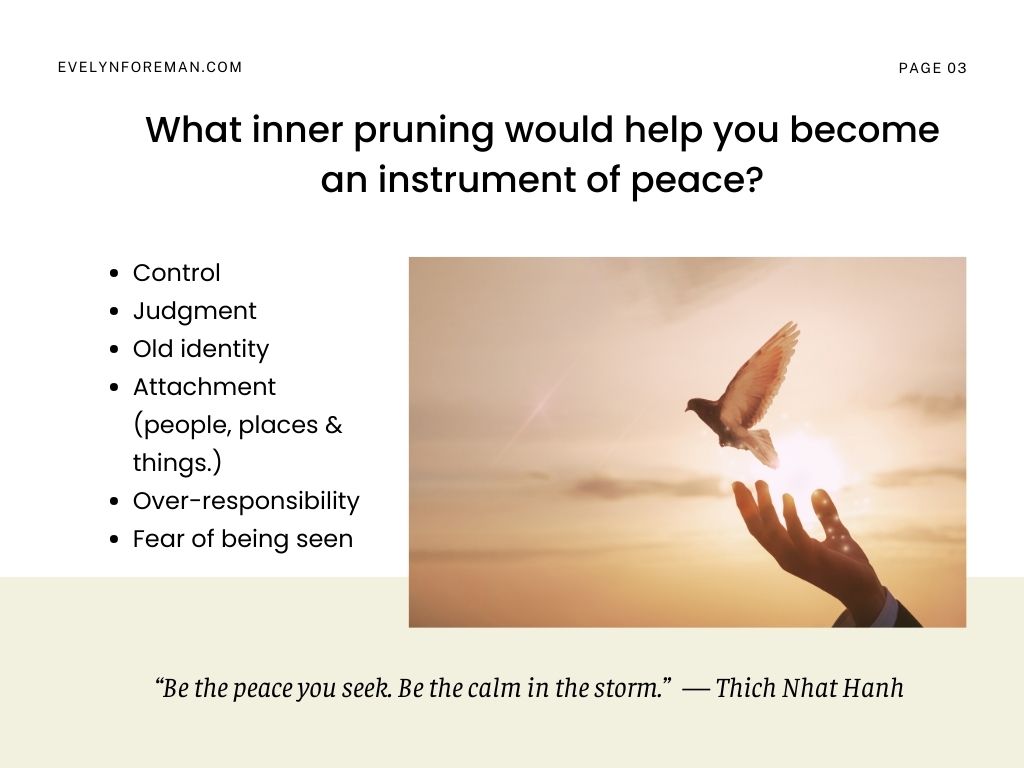 List of spiritual blocks to release: control, judgment, fear of being seen; image of dove flying List of spiritual blocks to release: control, judgment, fear of being seen; image of dove flying