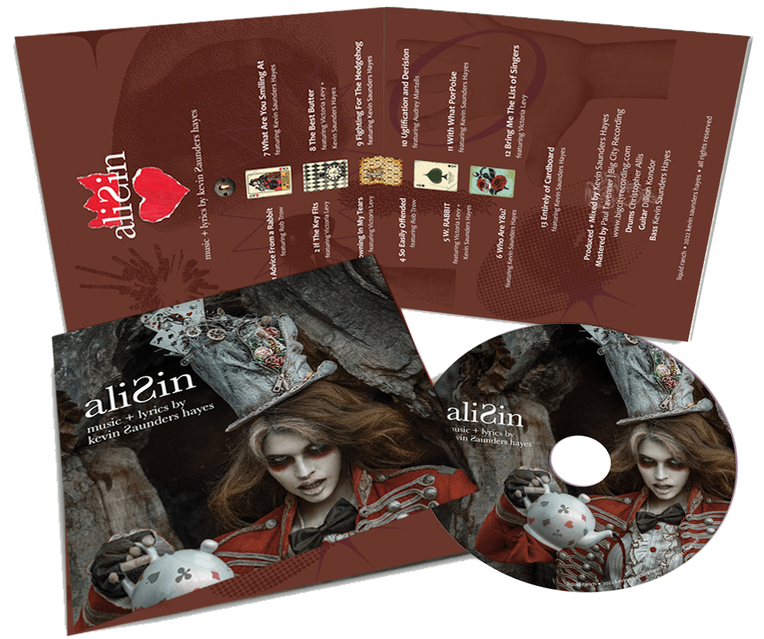AliSin-CD-Store-Display1-min