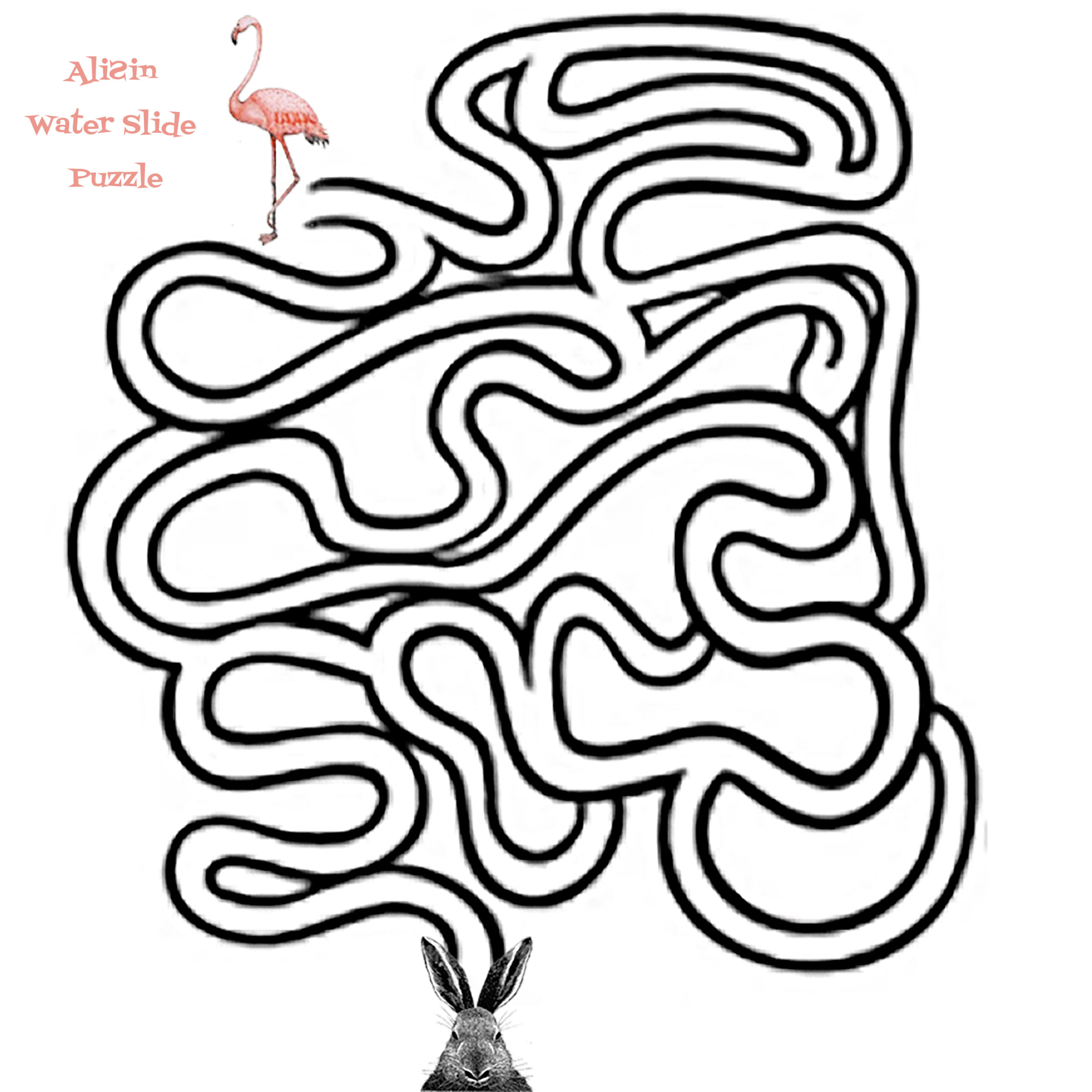 AliƧin Water Slide Puzzle