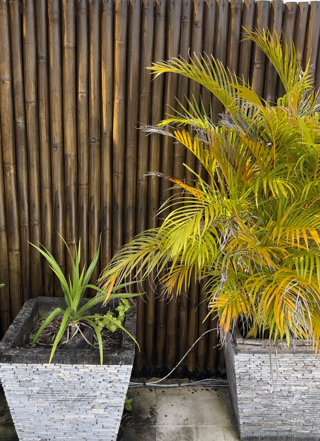 How to create a Balinese Style Garden