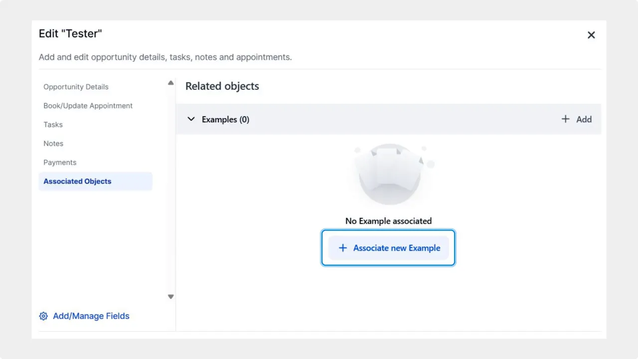 Opportunity edit panel showing the Associated Objects tab with a prominent 'Associate new Example' button