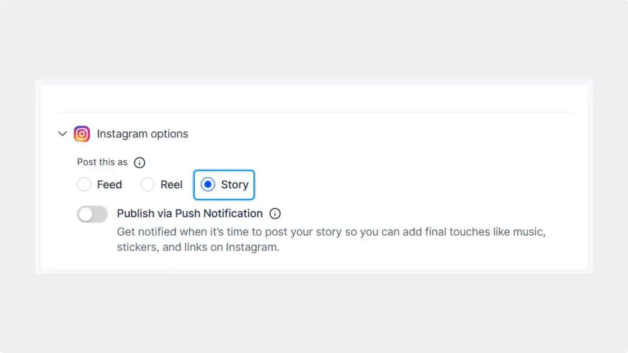 Instagram options panel with radio buttons for Feed, Reel, and Story and Story selected