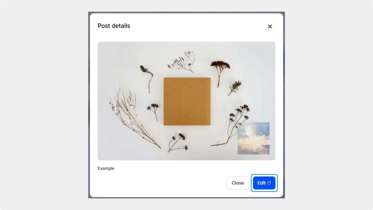 Post details modal showing a sample post image and a highlighted Edit button for quick edits Post details modal showing a sample post image and a highlighted Edit button for quick edits