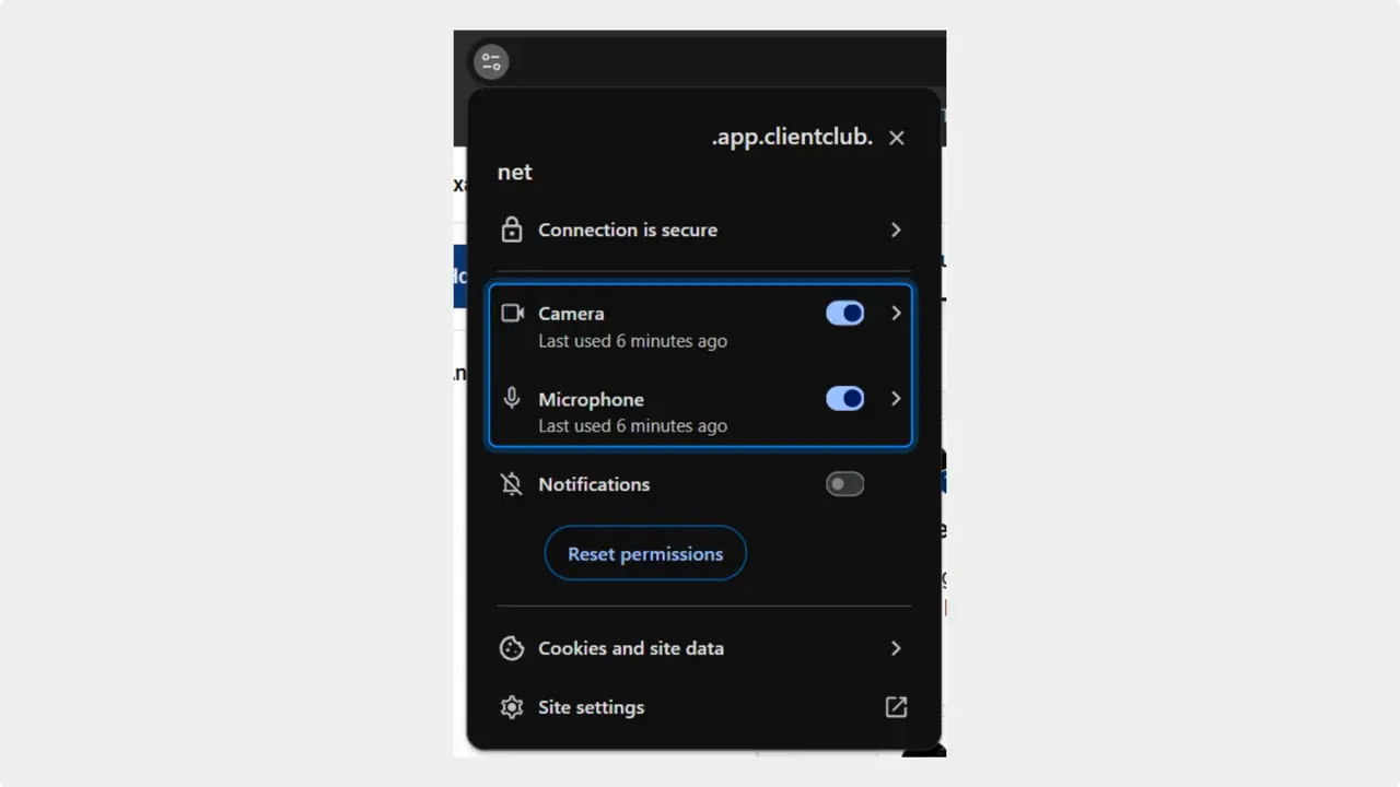 Browser site permissions popup showing camera and microphone toggles enabled for the site.