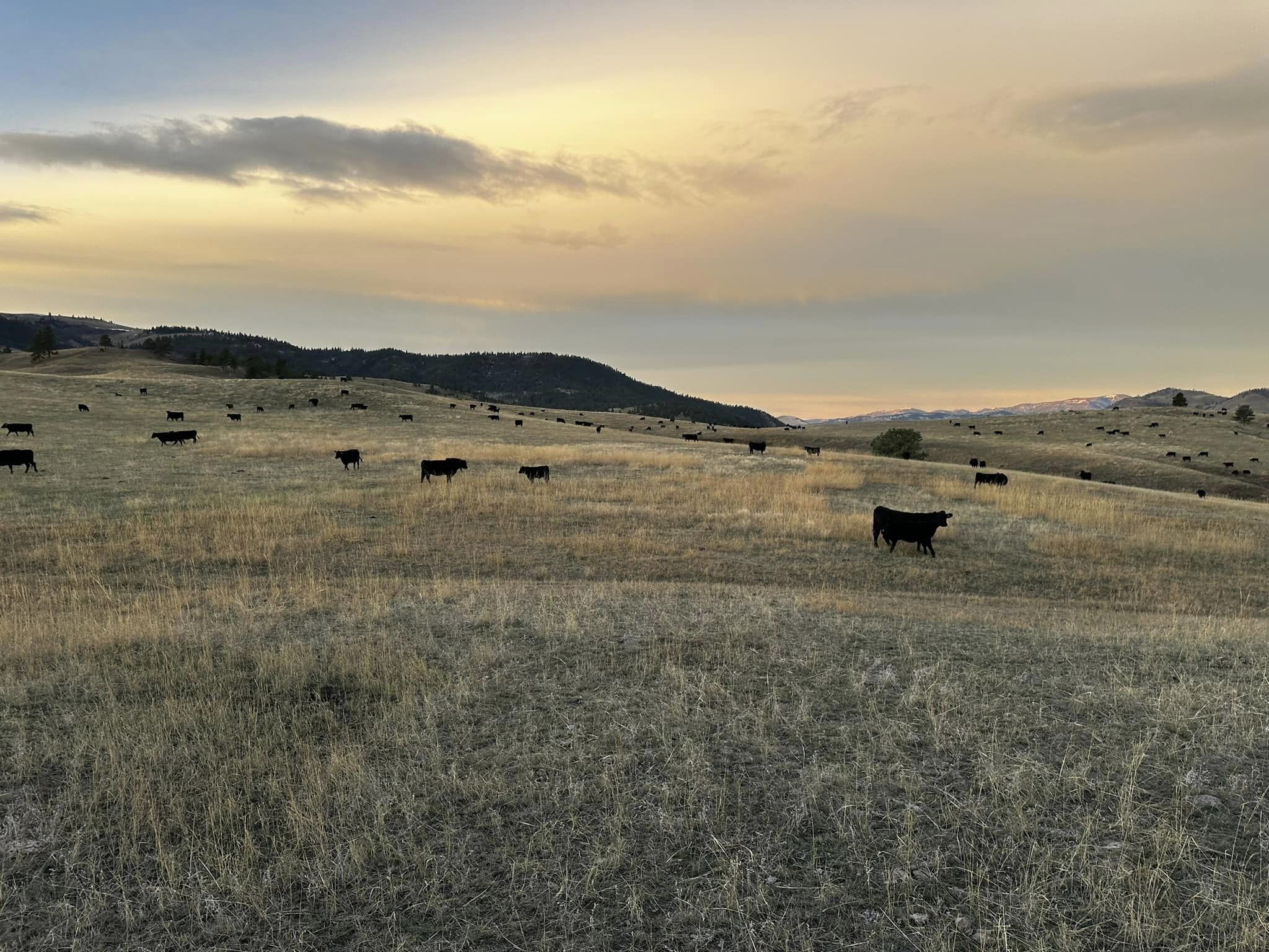 Skogen GK Ranch Fall Gather