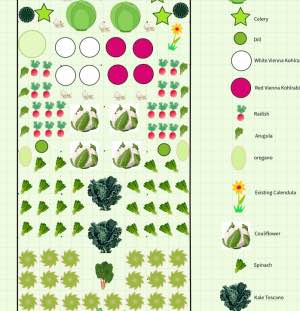 Image of an example fall garden planting plan
