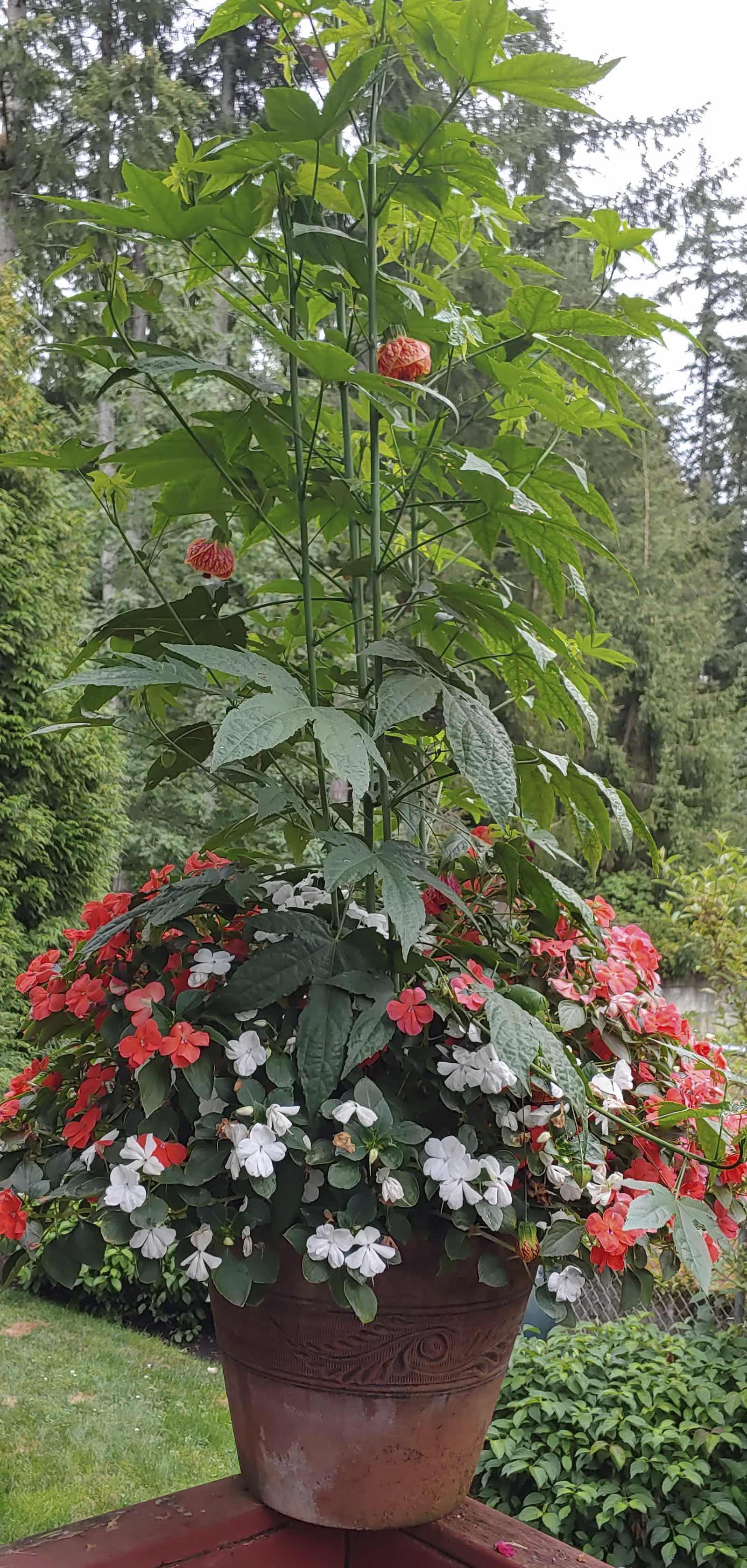 Picture of a planter of flowers Picture of a planter of flowers