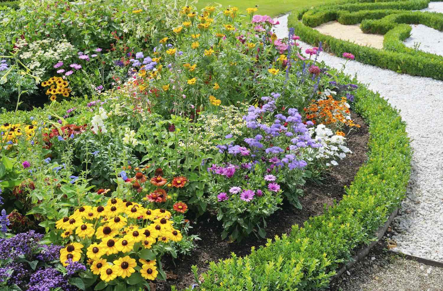 Image of a native flower garden Image of a native flower garden