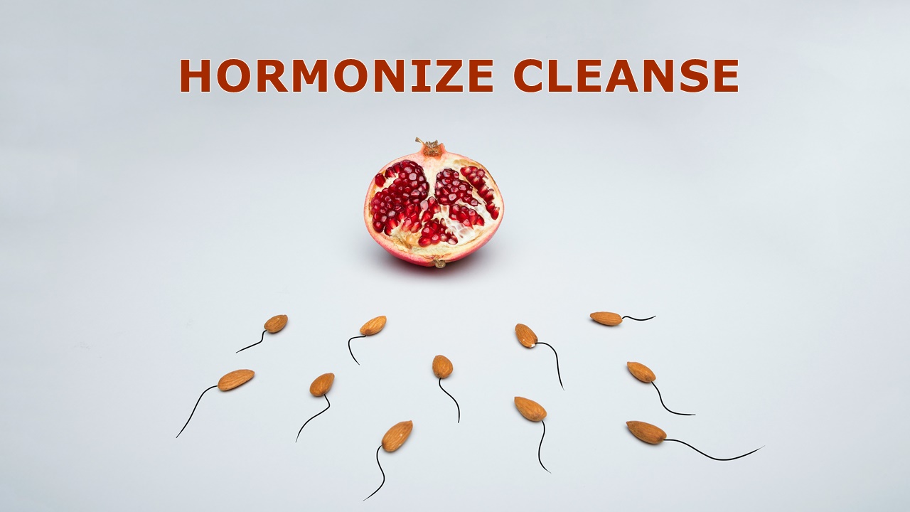 Hormonize Cleanse Hormonize Cleanse
